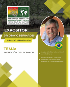 DR. Otávio Bernardes